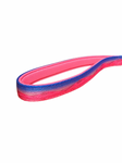Pink Sand Dunes Padded Leash